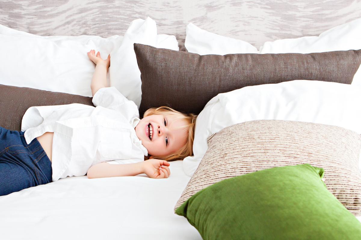 Is Your Rental Property Free From Pests?