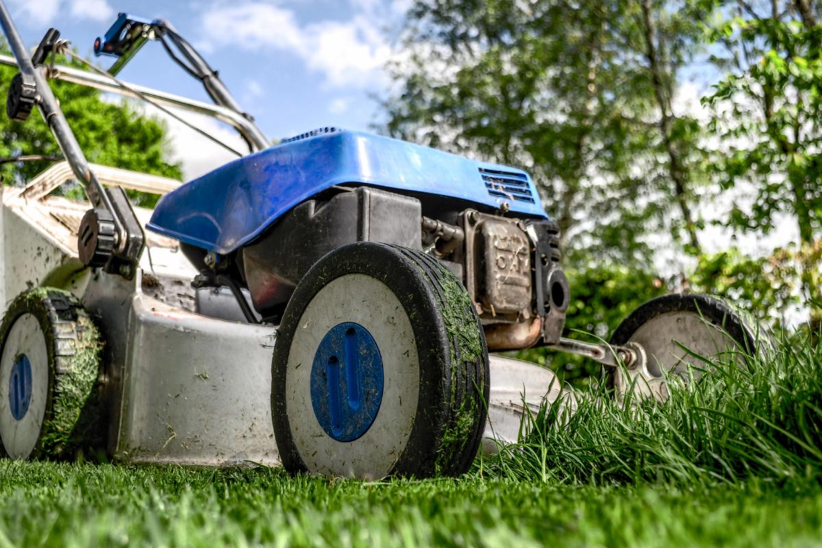 How to look after the garden in your rented property